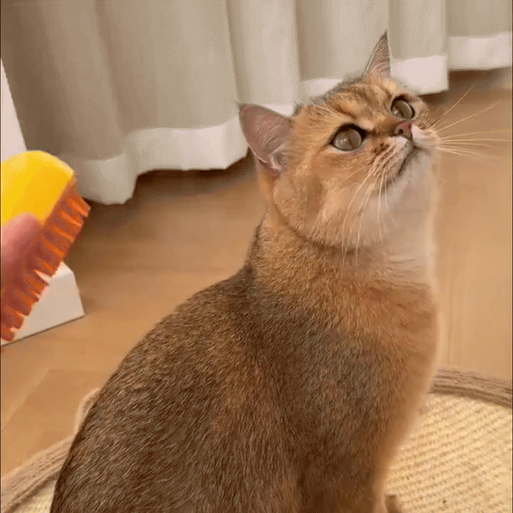 1100220413019-ezgif.com-crop